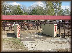 The Horse Wash and Rolling Area